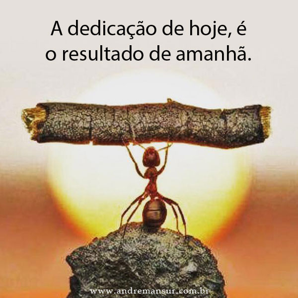 Fonte: Blog Dr.André Mansur